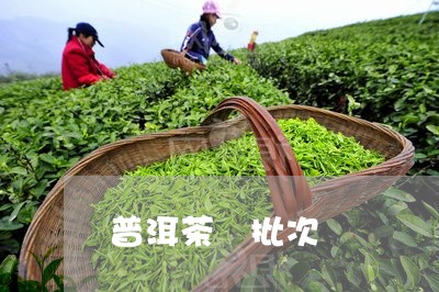 普洱茶 批次/2023042966113